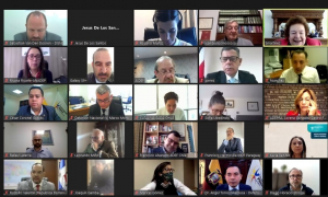 Comité Ejecutivo y Consejo Directivo de la AIDEF realizan reunión